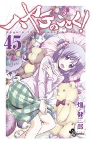 ハヤテのごとく！　45