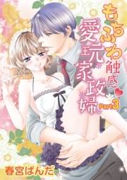もちふわ触感愛玩家政婦　vol.3