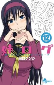 姉ログ　12