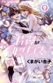 片翼のラビリンス　9
