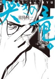 哭きの竜　3