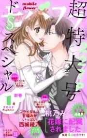 モバフラ　2017年1号