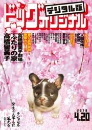 ビッグコミックオリジナル　2018年8号(2018年4月5日発売)