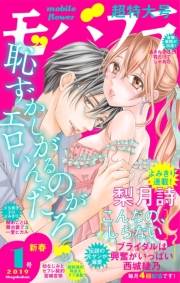 モバフラ　2019年1号