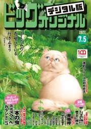 ビッグコミックオリジナル　2022年13号（2022年6月20日発売)