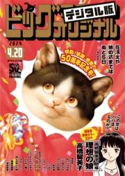 ビッグコミックオリジナル　2024年8号（2024年4月5日発売)
