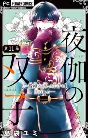 【期間限定　無料お試し版　閲覧期限2025年5月8日】夜伽の双子―贄姫は二人の王子に愛される―【マイクロ】 11