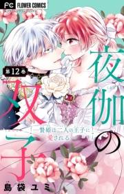 【期間限定　無料お試し版　閲覧期限2025年5月8日】夜伽の双子―贄姫は二人の王子に愛される―【マイクロ】 12