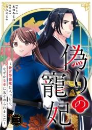 偽りの寵妃〜後宮警備隊に入ったら、なぜか皇帝に見そめられました〜【単行本】 3