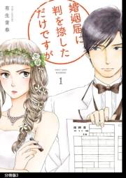 婚姻届に判を捺しただけですが　分冊版（３）