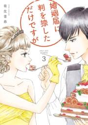 婚姻届に判を捺しただけですが（３）【電子限定特典付】