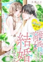 推し似の副社長と離婚するつもりで結婚します〜塩対応から始まる溺愛婚〜（２）