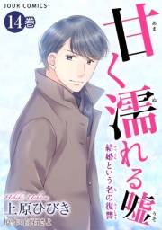 甘く濡れる嘘〜結婚という名の復讐〜 ： 14