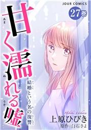 甘く濡れる嘘〜結婚という名の復讐〜 ： 27