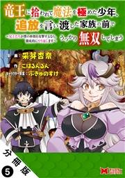 竜王に拾われて魔法を極めた少年、追放を言い渡した家族の前でうっかり無双してしまう〜兄上たちが僕の仲間を攻撃するなら、徹底的にやり返します〜（コミック） 分冊版 ： 5