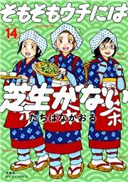 そもそもウチには芝生がない ： 14
