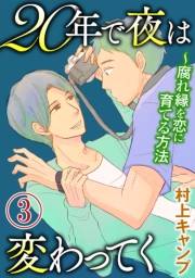 20年で夜は変わってく〜腐れ縁を恋に育てる方法〜分冊版〜（３）