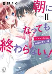 朝になっても終わらないっ！【単行本版】II〜ビンカン乙女は絶倫御曹司の虜〜【電子版特典付】