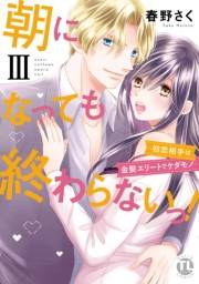 朝になっても終わらないっ！【単行本版】III〜初恋相手は金髪エリートでケダモノ〜