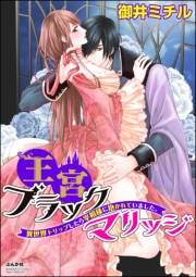 王宮ブラックマリッジ 異世界トリップしたら宰相様に抱かれていました。（分冊版） 【第2話】 冷たい仮面の下の情熱