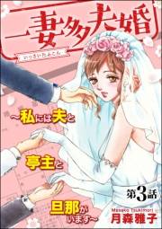 一妻多夫婚 〜私には夫と亭主と旦那がいます〜（分冊版） 【第3話】