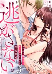 「逃がさない。」ワケあり御曹司とセックスから始まる契約結婚（分冊版） 【第3話】