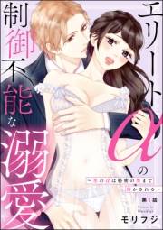 エリートαの制御不能な溺愛 〜氷のαは秘密の奥まで溶かされる〜（分冊版） 【第1話】