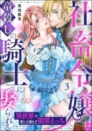 社畜令嬢は竜殺しの騎士に娶られる 異世界で家にも帰れず限界えっち（分冊版） 【第3話】