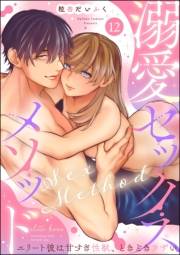 溺愛セックスメソッド エリート彼は甘すぎ性獣、ときどきウザい（分冊版） 【第12話】