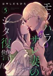 モラハラサレ妻のシタ復讐 （5）