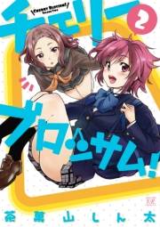 チェリーブロッサム！　２巻
