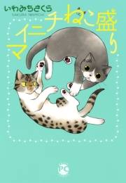 マイニチねこ盛り
