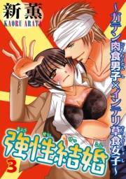 強性結婚〜ガテン肉食男子×インテリ草食女子〜3