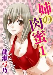 姉の肉蜜【分冊版】1