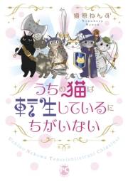 うちの猫は転生しているにちがいない