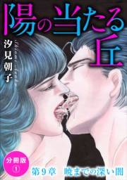 陽の当たる丘 第9章　暁までの深い闇　分冊版1