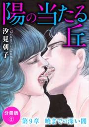 陽の当たる丘 第9章　暁までの深い闇　分冊版2