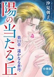 陽の当たる丘 第11章　遥かなる蒼穹　分冊版1