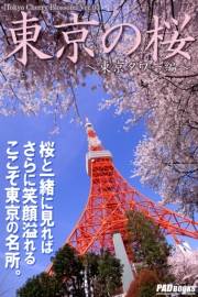 Tokyo Cherry Blossom　東京の桜　〜東京タワー編〜