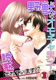 野獣なオモチャ男子に誘惑されています！？(3)