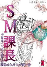 SM課長〜できるヘンタイ部下に開発されそうで怖い件〜(3)