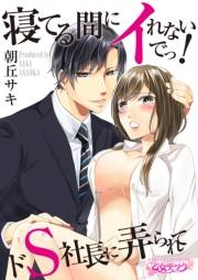 寝てる間にイれないでっ！〜ドS社長に弄られて〜（４）