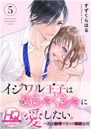 イジワル王子はめちゃくちゃに愛したい。〜疑似新婚で甘エロ調教生活【HQカラー】(5)