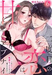 二度目の恋は、甘くてアブナイ〜クールな元カレの執愛セックスからは逃げられない〜(6)
