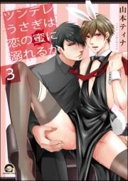 ツンデレうさぎは恋の罠に落ちるか（分冊版） 【第3話】