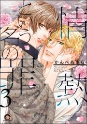 情熱という名の罪（分冊版） 【第3話】