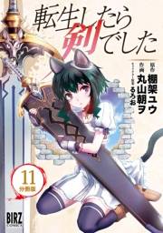 転生したら剣でした【分冊版】 11