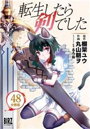 転生したら剣でした【分冊版】 48