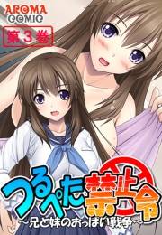つるぺた禁止令 〜兄と妹のおっぱい戦争〜（３）