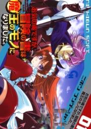 お気の毒ですが、冒険の書は魔王のモノになりました。（１）